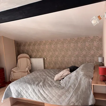 La Maisonnette Du Marais Holiday home
